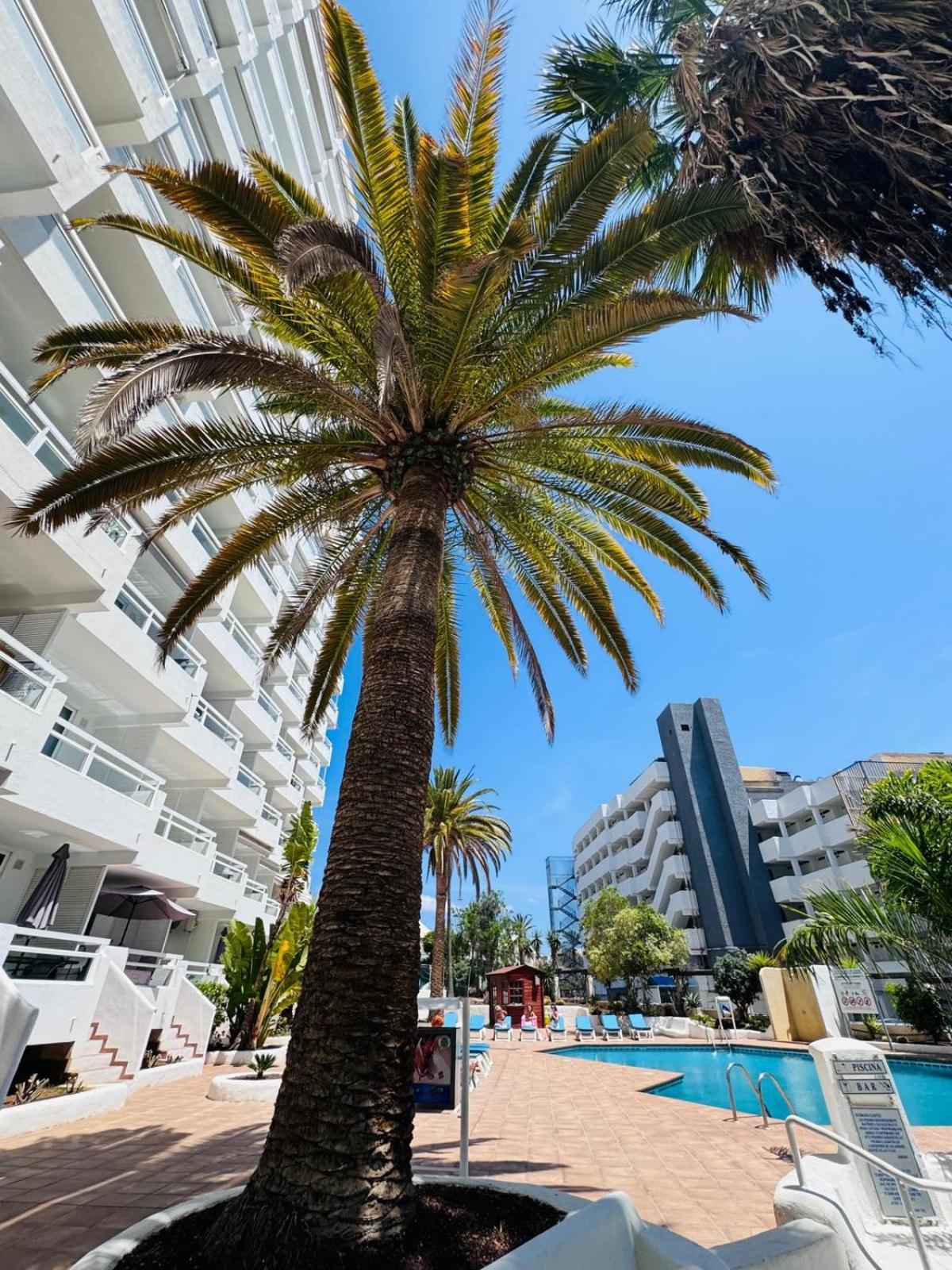 Jameo De Agua, Las Americas Studio Sea View Плайя-Фаньябе Экстерьер фото
