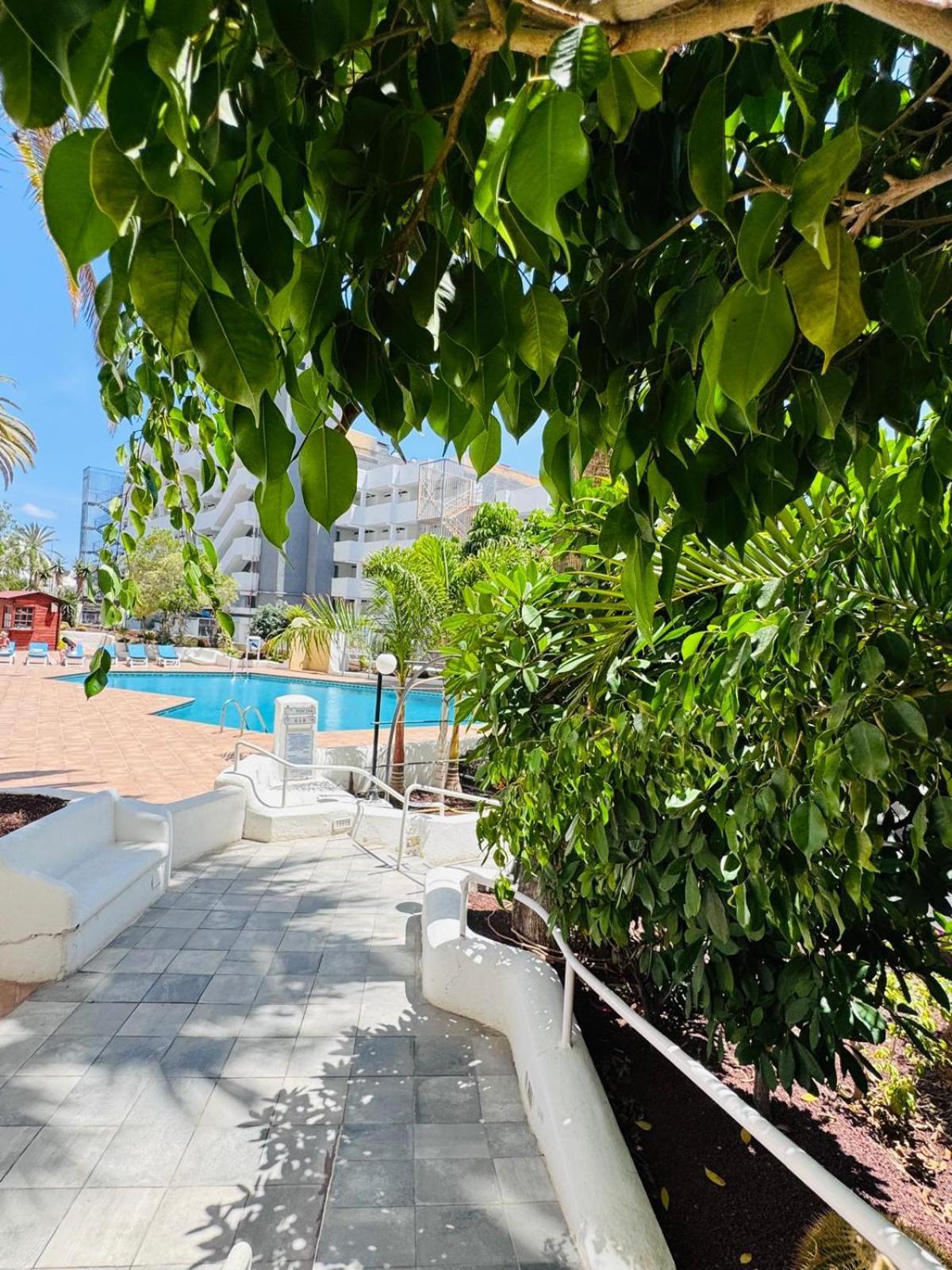 Jameo De Agua, Las Americas Studio Sea View Плайя-Фаньябе Экстерьер фото
